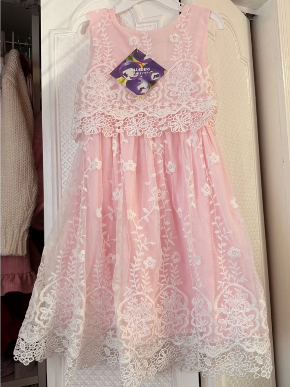 Blueberi Boulevard Pink Lace Embroidered Tulle Party Dress